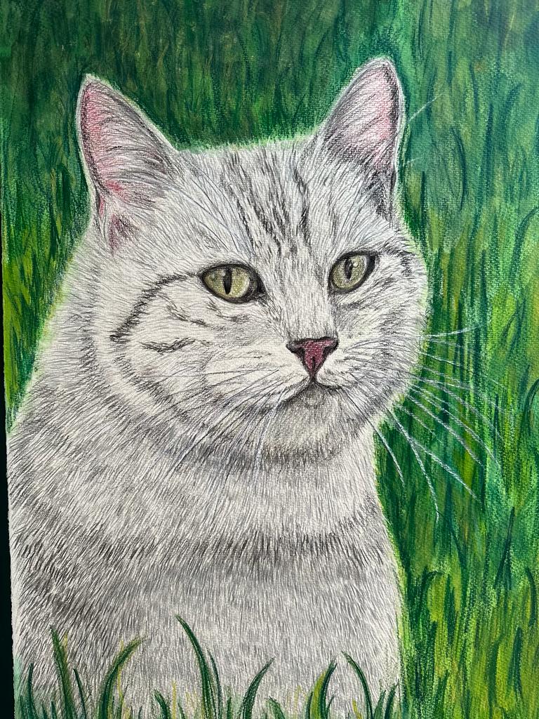 WhatsApp Image 2023-05-31 at 20.21.22 (3)